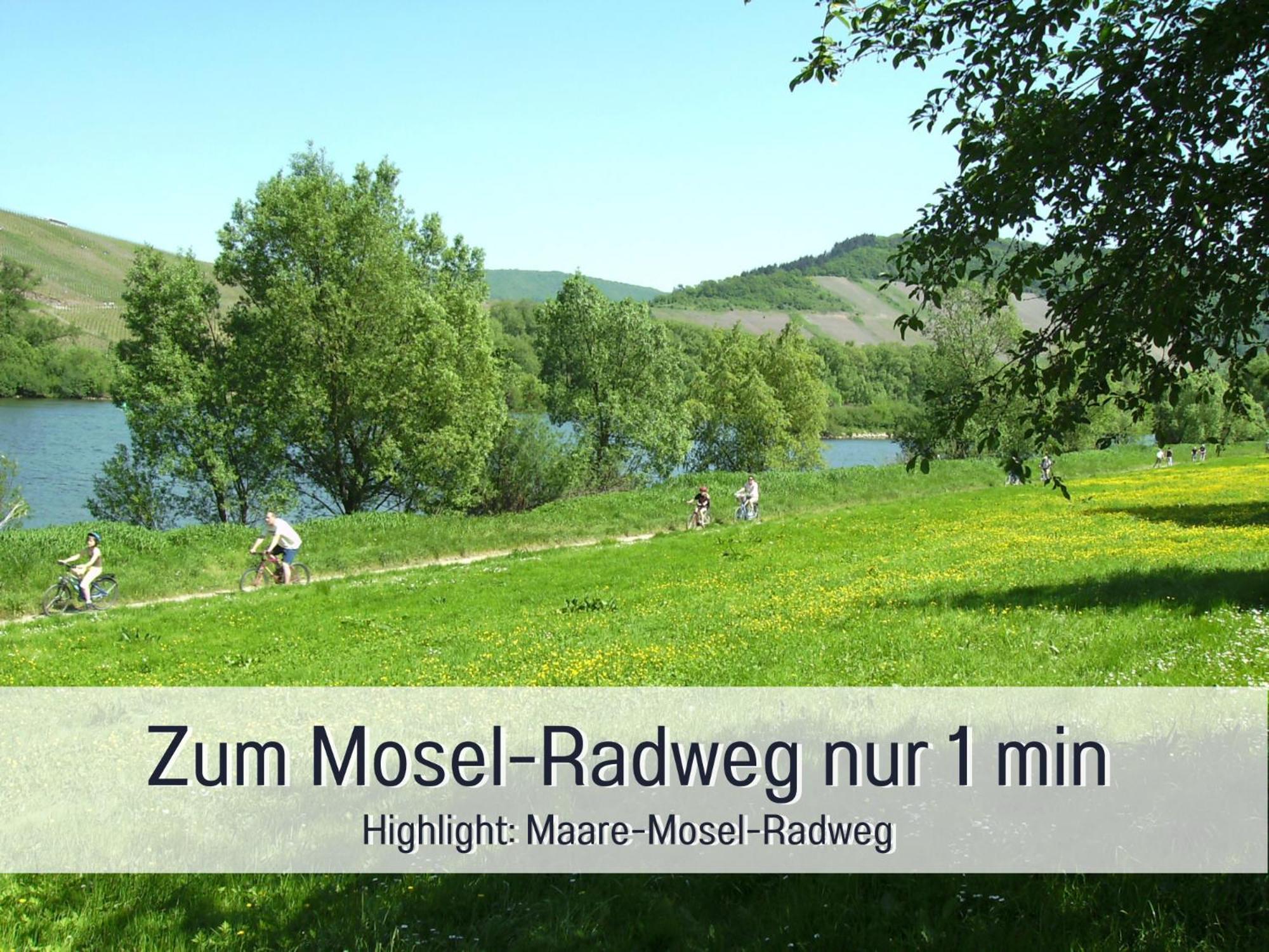 Appartement Schwaab-scherr, Genau Zwischen Bernkastel-kues Und Traben-trarbach, Mit Kostenlosem Oepnv-ticket Fuer Bus Und Bahn, Parkplaetzen Und Fahrradgarage *