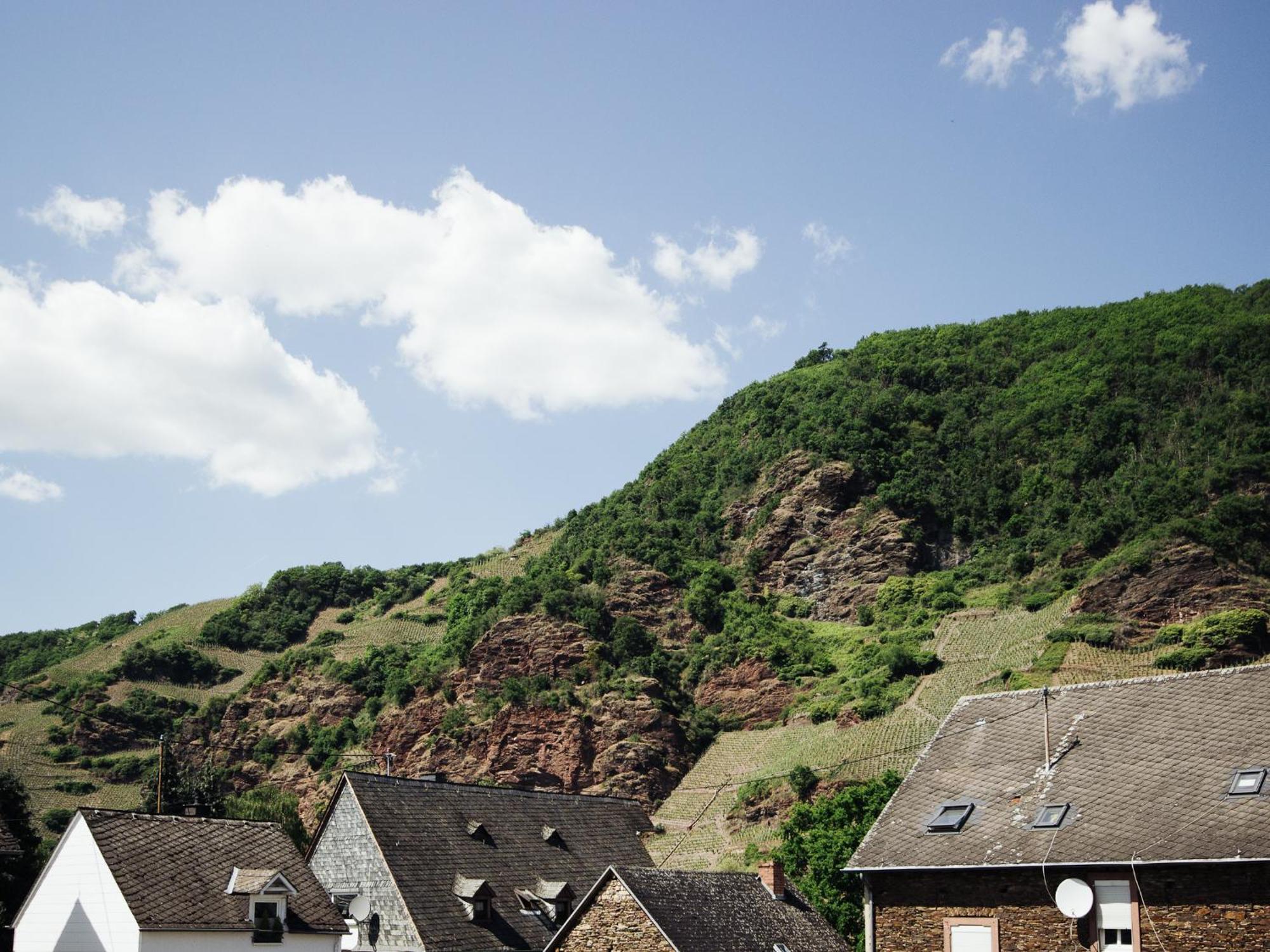 Schwaab-scherr, Genau Zwischen Bernkastel-kues Und Traben-trarbach, Mit Kostenlosem Oepnv-ticket Fuer Bus Und Bahn, Parkplaetzen Und Fahrradgarage Appartement *